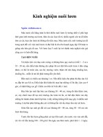 Kinh nghiệm nuôi lươn 