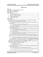  LỒNG GHÉP CÁC VẤN ĐỀ BẢO VỆ MÔI TRƯỜNG TRONG QUY HOẠCH PHÁT TRIỂN HỆ THỐNG GIAO THÔNG ĐƯỜNG BỘ TẠI HÀ NỘI