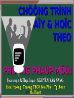 T.29_Diện tích tam giác