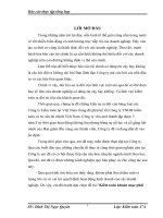 Kiểm toán khoản mục phải thu khách hàng do công ty TNHH kiểm toán và tư vấn tài chính Việt Nam thực hiện 