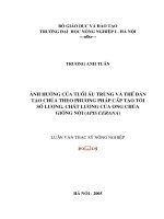 [Luận văn]ảnh hưởng của tuổi ấu trùng và thế đàn tạo chúa theo phương pháp cấp tạo tới số lượng, chất lượng của ong chúa giống nội (apis cerana) 