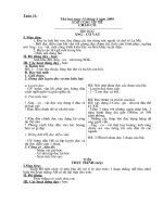 Tuần 31 (2 buổi đủ)