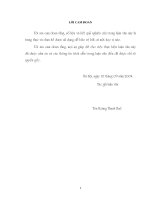 Thực trạng và một số giải pháp nhằm thúc đẩy tiêu thụ gỗ trụ mỏ tại công ty lâm nông nghiệp đông bắc bắc giang 