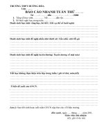 Mẫu báo cáo nhanh