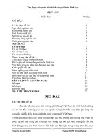 SKKN: ỨNG DỤNG PHÉP BIẾN HÌNH...