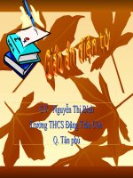 Anh van 8 - Unit13- Festivals