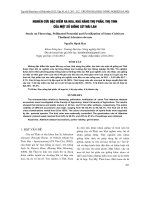 ẢNH HƯỞNG CỦA LIỀU LƯỢNG PHÂN COMPOST VÀ MỘT SỐ LOẠI PHÂN HỮU CƠ VI SINH ĐẾN SINH TRƯỞNG, PHÁT TRIỂN VÀ NĂNG SUẤT CỦA DƯA CHUỘT SẢN XUẤT THEO HƯỚNG HỮU CƠ TRÊN ĐẤT GIA LÂM-HÀ NỘI