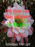 Bài 2.Thành phố Hồ Chí Minh