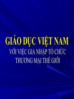 Giáo dục Việt Nam-WTO