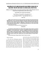 ẢNH HƯỞNG CỦA LIỀU LƯỢNG BÓN ĐẠM ĐẾN SINH TRƯỞNG VÀ NĂNG SUẤT CỦ MẠCH MÔN TRÊN ĐẤT XÁM FERALIT TẠI HUYỆN HẠ HÒA, TỈNH PHÚ THỌ