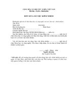 ĐƠN XIN LÀM VIỆC KIÊM NHIỆM