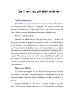 Xử lý ao trong quá trình nuôi tôm 