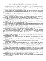 Câu hỏi tình huống Đội