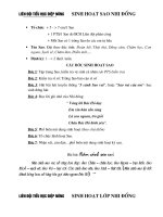 Các bước Sinh hoạt Sao nhi đồng