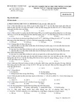 Đề thi môn Vật Lý TN-THPT 2009-m325