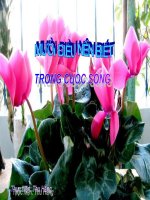 10 điều nên biết trong cuộc sống