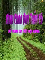 Lớp hai lá mầm và lớp một lá mầm