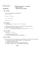 De HKII lop 9 TPHCM 2008-2009