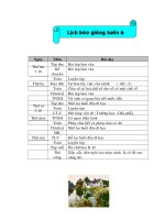 Giao an lop 3 - tuan 6(tk)