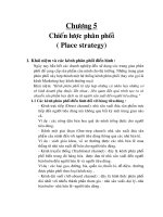 Chiến lược phân phối (Placing strategy)