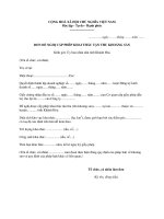 MẪU ĐƠN ĐỀ NGHỊ CẤP PHÉP KHAI THÁC TẬN THU KHOÁNG SẢN