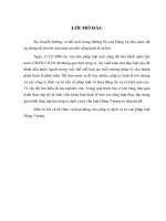 Một số nét về tổ chức và hoạt động của công ty dịch vụ tư ván pháp luật Hùng Vương