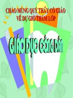 Nghĩa vụ tôn trọng, bảo vệ tài sản Nhà nước và lợi ích công cộng