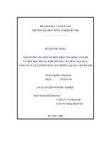 Ảnh hưởng của một số biện pháp tác động cơ giới và hoá học đến sự sinh trưởng , ra hoa , đậu quả và năng suất của giống xoài GL6 trồng tại gia lâm   hà nội 