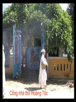 Bà Nội của Bim Bi