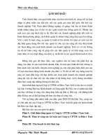 Thực tế công tác kế toán tại Công ty CPTM và Đầu tư Tam Anh