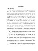[Luận văn]nghiên cứu ảnh hưởng của liều lượng đạm và số dảnh cấy đến sinh trưởng, phát triển và năng suất của giống lúa lai 20 tại chương mỹ hà tây 