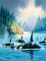 TIET 57 (THE TICH CUA HINH HOP CHU NHAT)