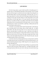 Đánh giá khái quát về công tác hạch toán kế tóan tại công ty CPDP Trường Thọ - chi nhánh Tp Nam Định.