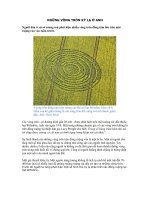 NHỮNG VÒNG TRÒN KỲ LẠ Ở ANH