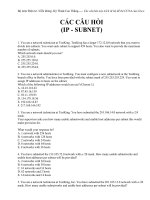 cac cau hoi ve IP  subnet 