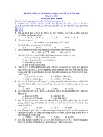 DE THI THU DH 2009-MA 21-DAP AN