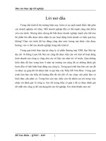 Phân tích hoạt động của công ty cổ phần Sao Mai