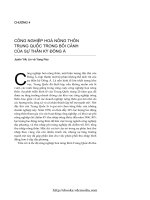 Công nghiệp hóa nông thôn Trung Quốc