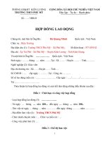 Mau hợp đồng xét tuyển