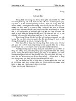 “ Giảm thiểu sử dụng bao nilong trong tiêu dùng trên địa bàn thành phố Hà Nội”.