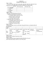 ĐỀ THI SINH HỌC HKI