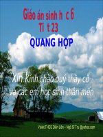 Tiet.23-Quang hop