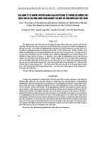 XáC ĐịNH Tỷ Lệ NHIễM MYCOPLASMA GALLISEPTICUM ở 2 GIốNG Gà HƯớNG THịT ROSS 308 Và ISA MàU NUÔI CÔNG NGHIệP TạI MộT Số TỉNH MIềN BắC VIệT NAM
