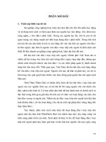 Thực trạng và giải pháp về thu hút vốn đầu tư trực tiếp nước ngoài tại thừa thiên huế 