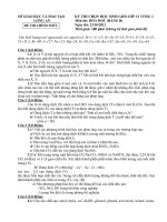 ĐỀ THI CHỌN HỌC SINH GIỎI CẤP TỈNH LỚP 12 THPT VÒNG 1 NĂM 2012 MÔN HÓA HỌC - SỞ GIÁO DỤC VÀ ĐÀO TẠO LONG AN