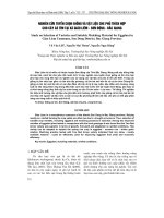 NGHIÊN CứU TUYểN CHọN GIốNG Và VậT LIệU CHE PHủ THíCH HợP CHO CÂY Cà TíM TạI Xã GIáO LIÊM - SƠN ĐộNG - BắC GIANG