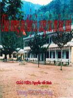 Tiết 45. Giới thiệu chung hệ thần kinh