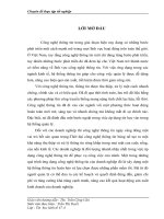 “  Xây dựng hệ thống thông tin quản lý khách hàng tại công ty cổ phần Sao vàng Việt Nam