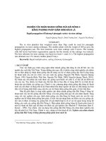 Nghiên cứu nhân nhanh giống dứa Đài Nông 4 bằng ph-ơng pháp giâm hom nách lá