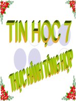 Thực hành tổng hợp